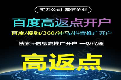 行业领先企业如何运用SEM进行精准营销